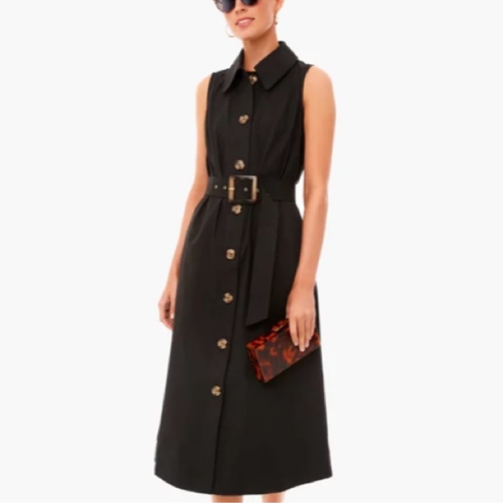 Tuckernuck Black Sleeveless Button-Front Maxi Dress - Picture 3 of 7